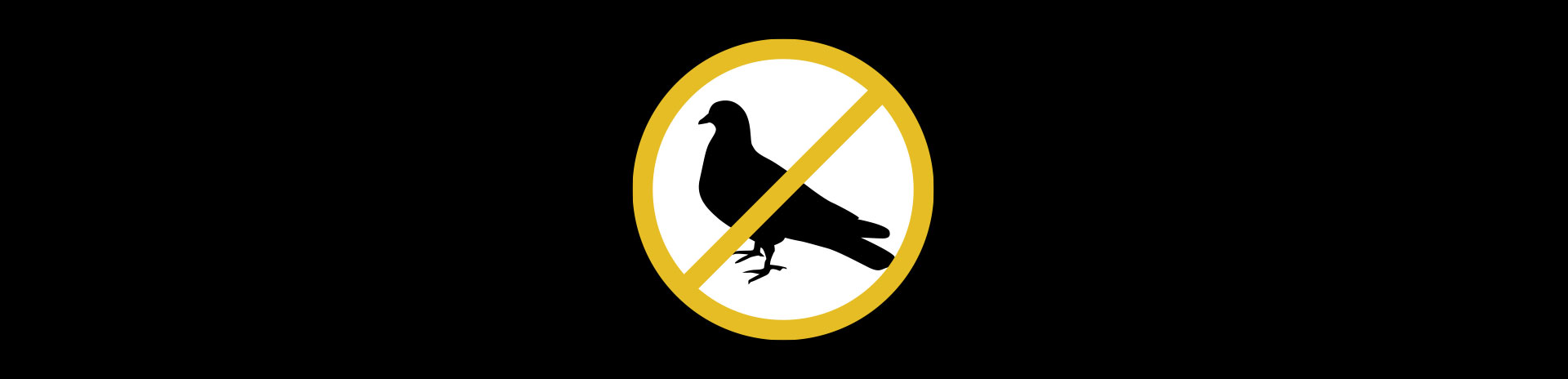 Solutions de contrôle des pigeons dans le Nord-Pas-de-Calais