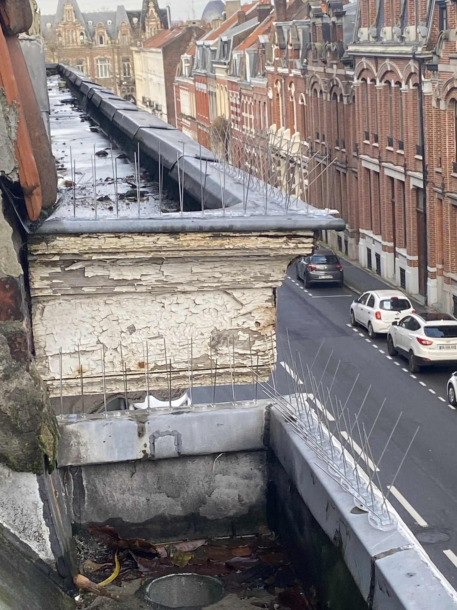 Solutions de contrôle des pigeons dans le Nord-Pas-de-Calais